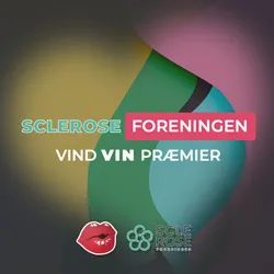 Scleroseforeningen - Vind en vin-kurv